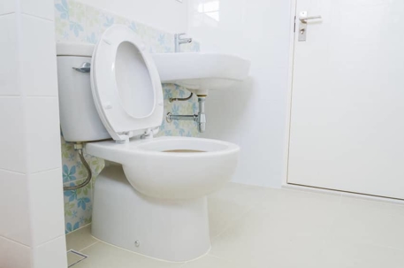 toilet with seat open