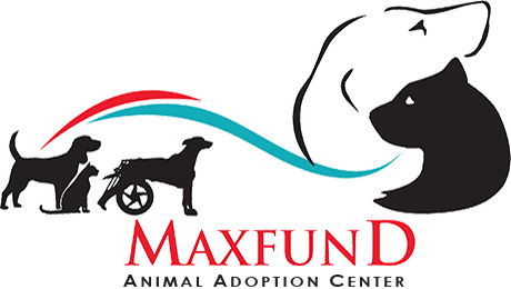 MaxFund No Kill Animal Shelter MaxFund No Kill Animal Shelter