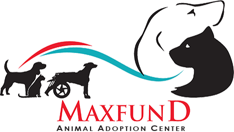 Maxfund Animal Adoption Center