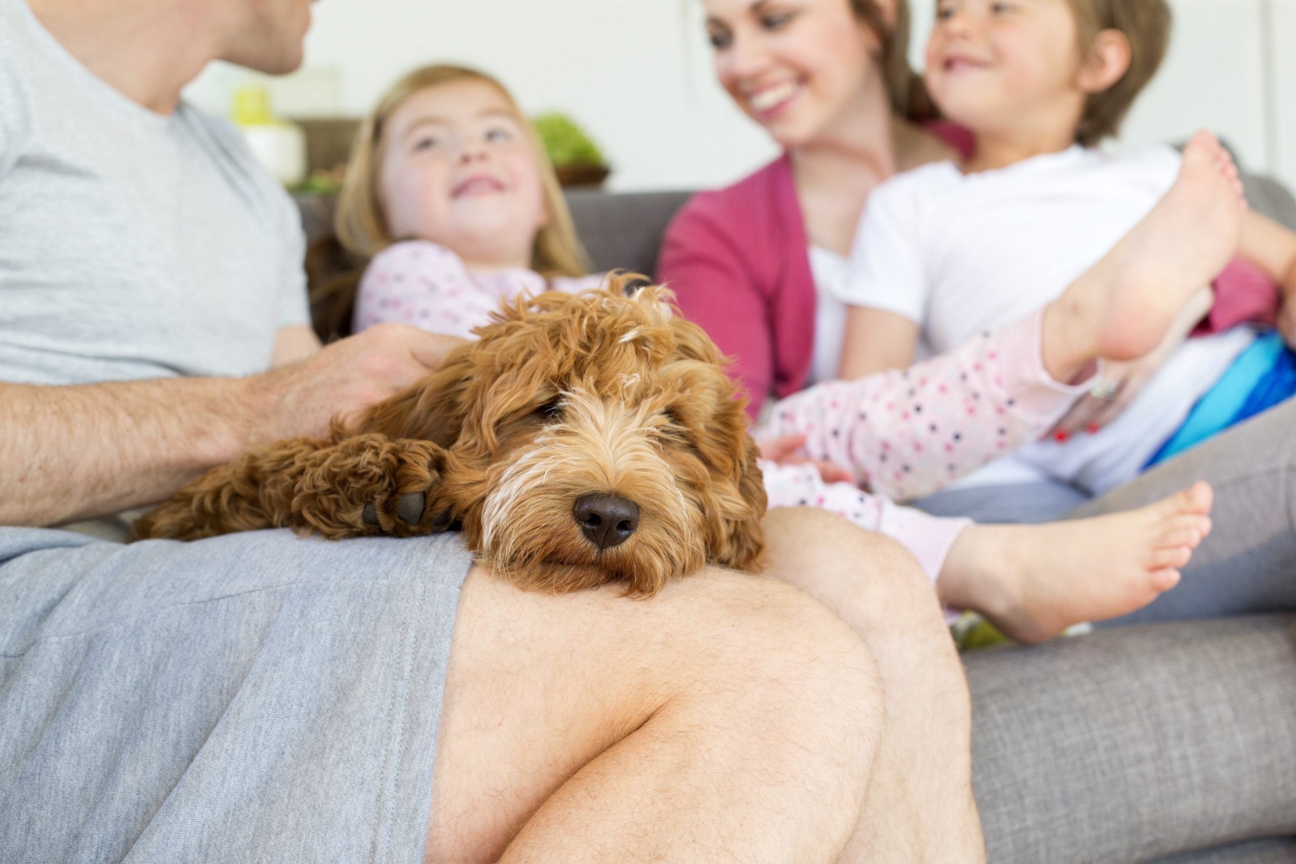 Denver Home Services