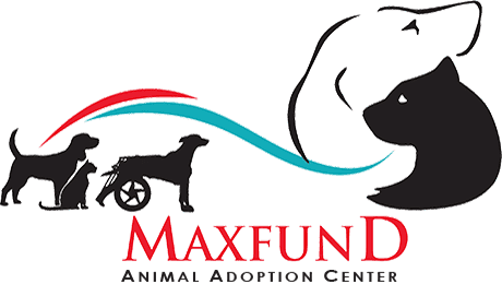MaxFund No Kill Animal Shelter